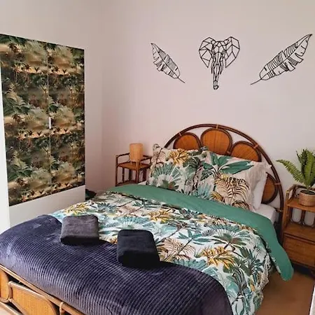 Le Jungle Appart, Centre Ville Narbonne Extérieur photo
