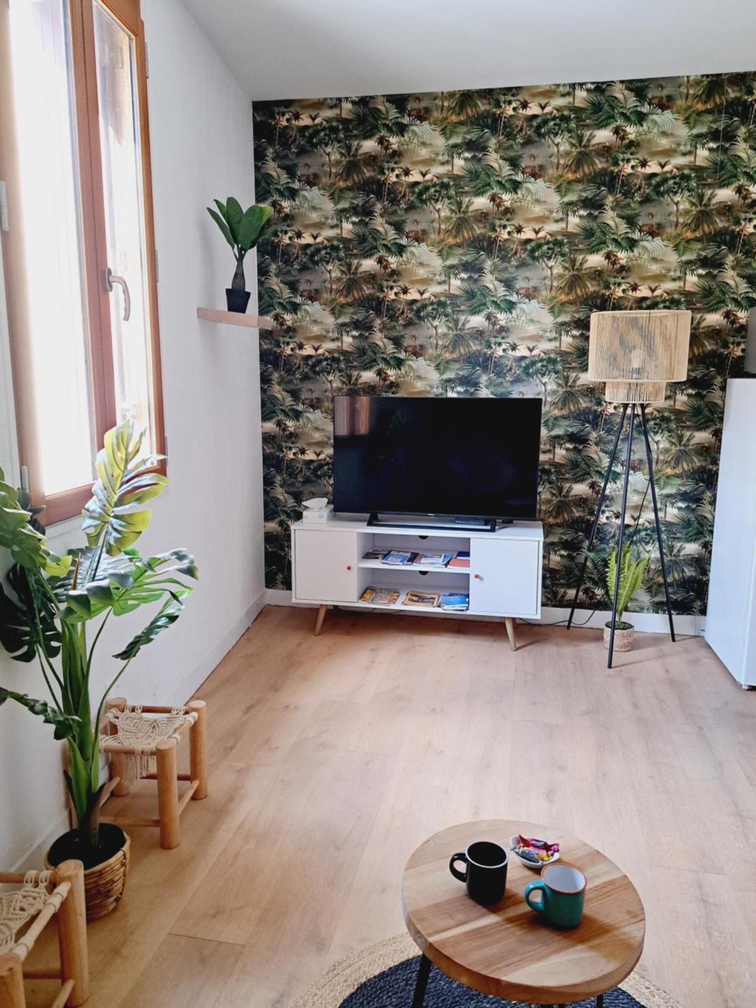 Appartement Le Jungle Appart, Centre *