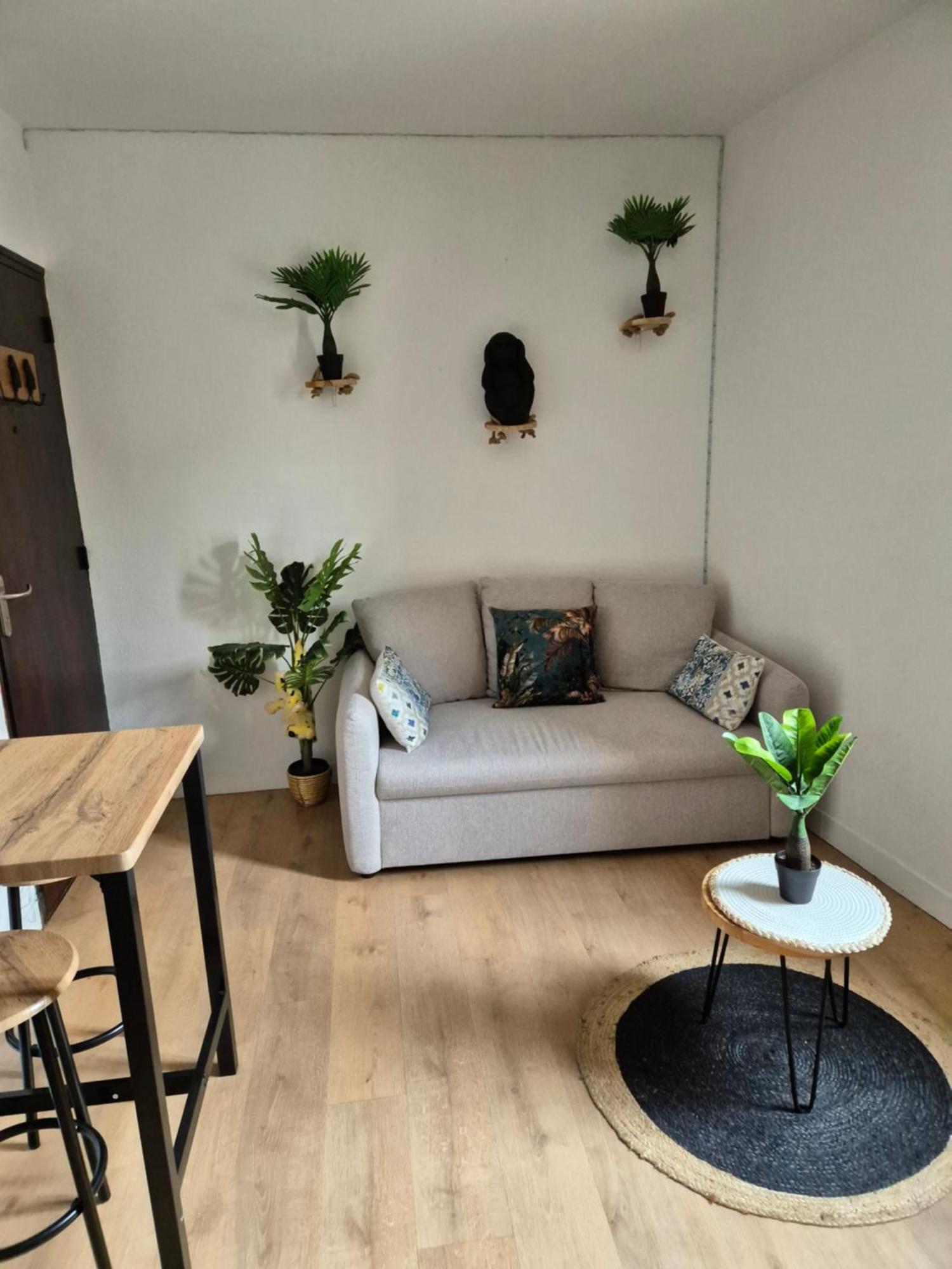 Le Jungle Appart, Centre